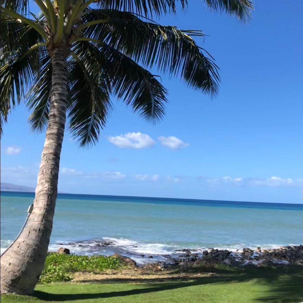 Meet your Posher, Suelle